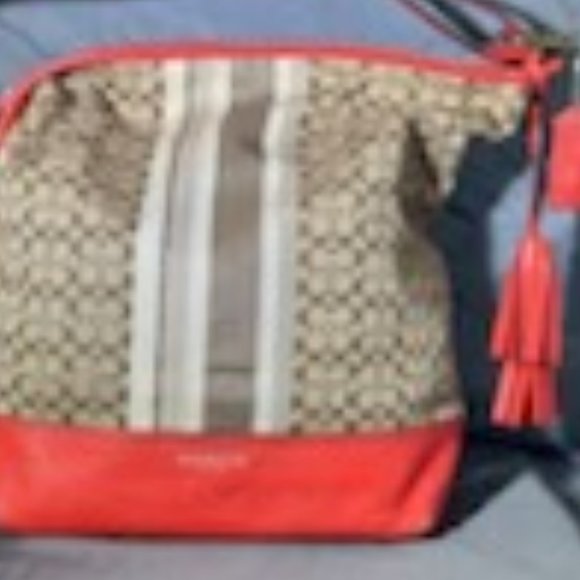 Exploring My Coach Teri Hobo Bag Essentials | TikTok Gotta Love it! Coach Hobo